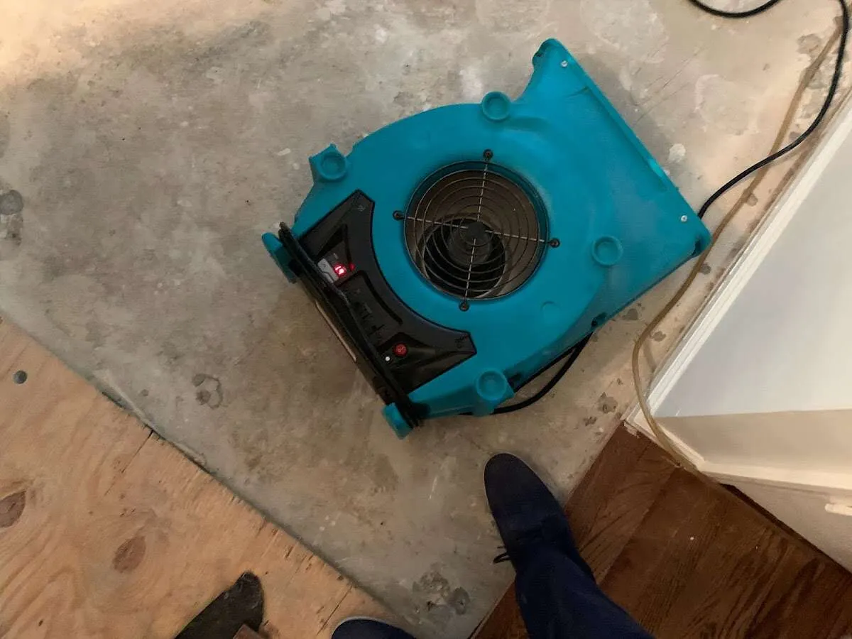 Air mover drying subfloor during Leak Detection & Repair in Davison